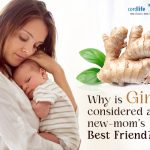 Why Is Ginger Considered a New-mom’s Best Friend?